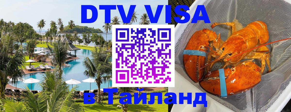 Оформление DTV визы под ключ: стоимость и тарифы, только загранпаспорт - 19.11.2025 